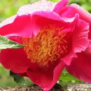 용산-현장-1992 이미지