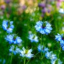 전곡고등학교 기숙사 이미지