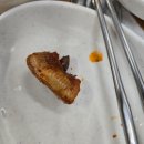 대왕곰장어 이미지