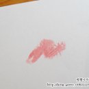 핑키오렌지