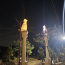 늘푸른장묘