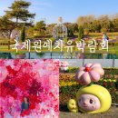 대양3급카써비스 | 2026 태안국제원예치유박람회 후기 (필수코스, 푸드코트, 포토존 당일치기 여행 추천)