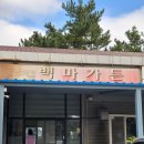제주 조천 현지인 말고기 맛집 백마가든 말육회 내돈내산