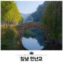 창녕군 영산도서관 | 국내 가을 여행지 추천 창녕 가볼만한곳 만년교 단풍