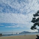 대교로 3L 이미지