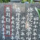 이즈미 동아일보