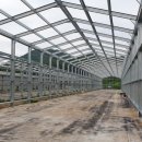 봄내양계 이미지