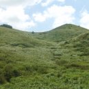 오름이야기 이미지