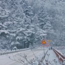 우리동네도깨비 이미지