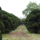 황등면-04 이미지