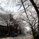 정림서로 이미지