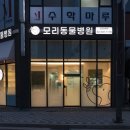 삼송동물병원