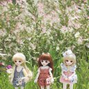 데이지 파티(Daisy Party)