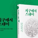 스테이비로소