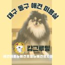 캄그루밍 이미지