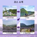 무릉별유천지 라벤더 축제 실시간후기💜 보랏빛 물결에 빠진 하루