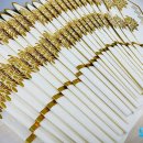 괴정병원 이미지