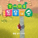 리얼타임 모동숲 일지 34 + 35일차