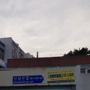 선덤이용원