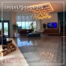 스탠포드호텔앤리조트(주) | 제주 온수풀 숙소 스탠포드호텔앤리조트 9월 숙박후기