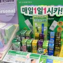 1월 일상 조각 모음🎵 - 부산 치이카와 페스타 팝업, 케로로 집사 카페, 김해/창원 카페
