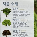 솔마1로 이미지