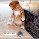 어쭈구리 네이버블로그