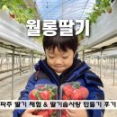 월롱농장 이미지