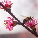 한성 (태권도) | 인천 중구 한성태권도, 리뷰, 후기, 가격