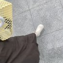쌀다홍 이미지