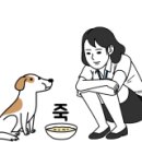 칠보할인마트