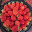 🍎재현과일 ㅡ 설향딸기 1팩 7900원 행사,키위티바나나, 돌바나나특가, 체리, 샤인머스켓, 금실딸기, 땅콩아몬드 스프레드 등등 이미지