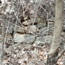 파주법원경기-파주-법원2 이미지