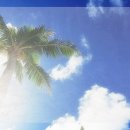 피츠로이가든 이미지