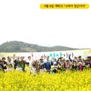 청산면축제추진위원회 네이버블로그