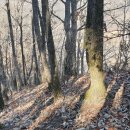 원주굽이길 7코스 고바우길 이미지