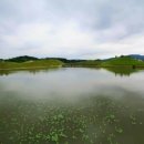 베스트소망약국 이미지