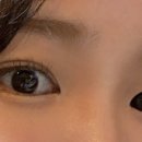 래쉬올린