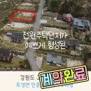 고성일관공인중개사사무소 이미지