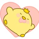 상지대효태권도 이미지