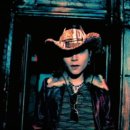 핑크 스파이더 이미지