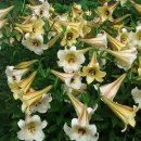 상근농장 이미지