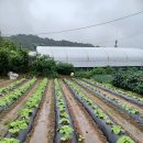 신항경로당 이미지