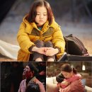 금비 티브이데일리