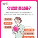 유방 이미지