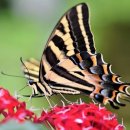 대운설렁탕 이미지