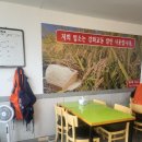 벨라펫살롱 이미지