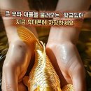 황금잉어 보세요 이미지