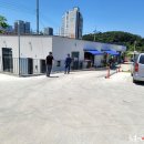 도안수산식당 이미지