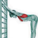 경기도 수원시 영통구 매원로 이미지